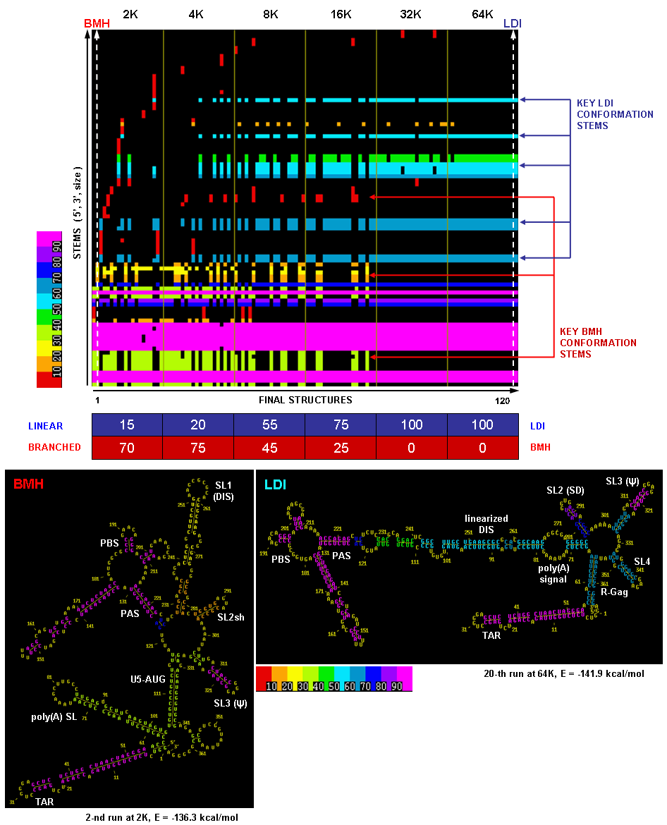 Multiple Solution Space Stem Trace