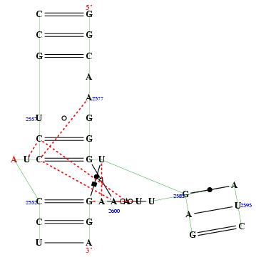 Hit refresh for a different example secondary structure of junction 8053